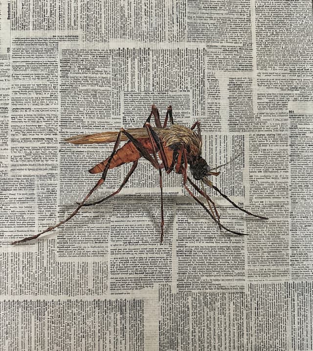 Mascot of the Gulf Coast